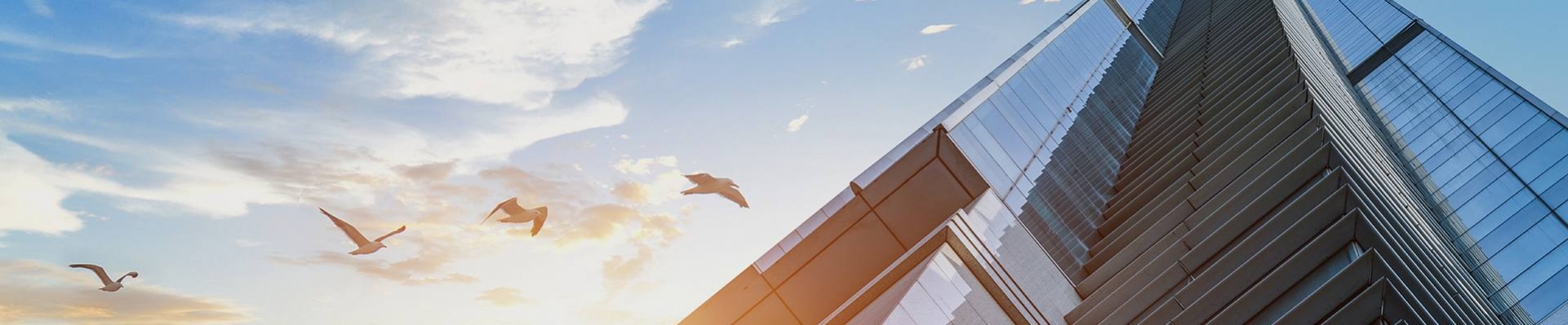 关于开云·kaiyun